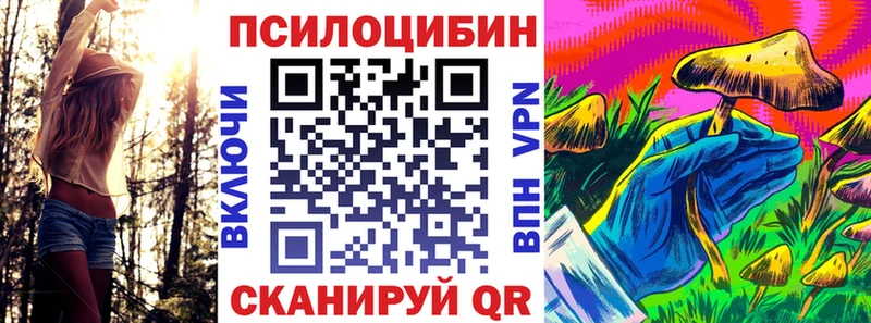 цена   Мосальск  Галлюциногенные грибы мухоморы 